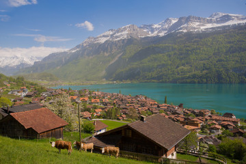 Village on the shore of the lake