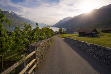Local road leading to the lake