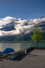 Coastline of Switzerland lake