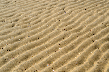 Seashells on sand. Holiday sea summer beach