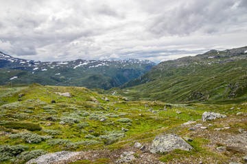 Fototapeta na wymiar Travel in Norway mountains at summer