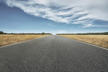 Empty road with savannah view
