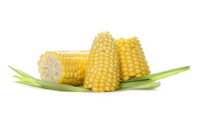 Corn cob slices isolated on white background