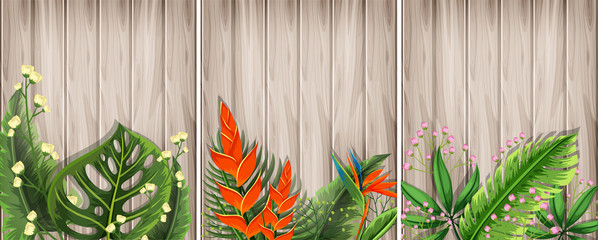 A Set of Plant with Wooden Background
