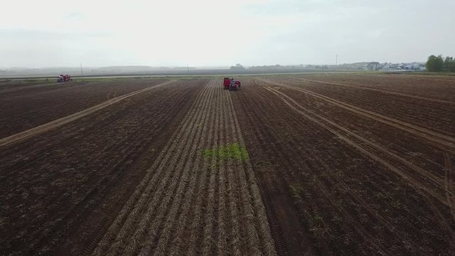harvesting potatoes with a combine / harvester plowing the field and harvesting potatoes