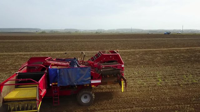 harvesting potatoes with a combine / harvester plowing the field and harvesting potatoes
