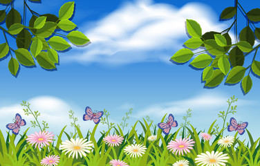 Beautiful Flower Garden and Blue Sky