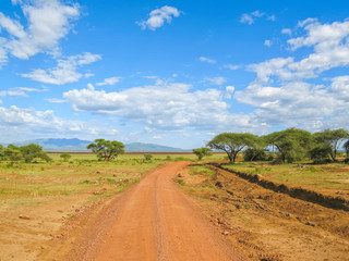 Dirt road in savanna plain. Lake Manyara National Park, Tanzania, Africa.