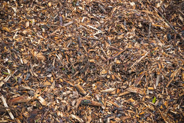 Image filled with wood chips and twigs