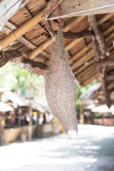 Baya Weaver Bird's Nest Hang on the shop for luck.