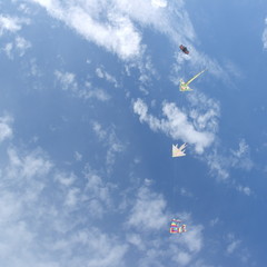 aquiloni presso la Cinta, San Teodoro (Sardegna)