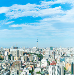 Fototapeta premium 東京風景