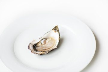 Fresh oyster. Raw fresh oyster is on white round plate, image isolated, with soft focus. Restaurant delicacy. Saltwater oyster.