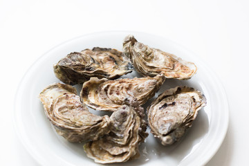 Fresh oysters. Raw fresh oysters are on white round plate, image isolated, with soft focus. Restaurant delicacy. Fresh raw oysters. Saltwater oysters.