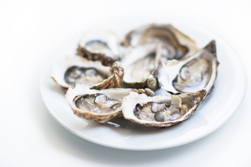 Fresh oysters. Raw fresh oysters are on white round plate, image isolated, with soft focus. Restaurant delicacy. Fresh raw oysters. Saltwater oysters.