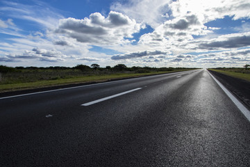ruta
