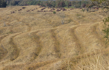 осеннее поле, ландшафтный минимализм