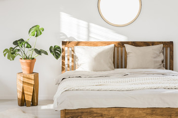 Wooden double bed with white pillows, sheets and knit blanket standing in bright bedroom interior with fresh plant on bedside table and mockup poster on the wall