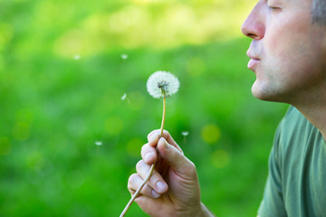 Man blowing dandelion over blured green grass, summer nature outdoor