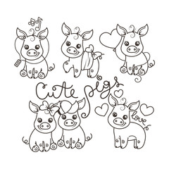 Collection of cute cartoon pigs
