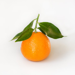 Mandarin fruit. Tangerine.