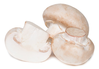 Fresh champignon mushrooms isolated on white background