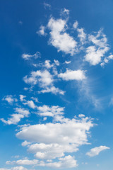 Fototapeta premium a lot of clouds that go into the distance in perspective, at the bottom are big clouds, and above are small, in a blue sky, a vertical frame