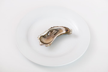 Fresh oyster. Raw fresh oyster is on white round plate, image isolated, with soft focus. Restaurant delicacy. Saltwater oyster.