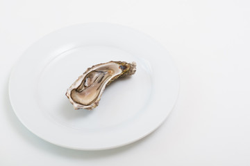 Fresh oyster. Raw fresh oyster is on white round plate, image isolated, with soft focus. Restaurant delicacy. Saltwater oyster.