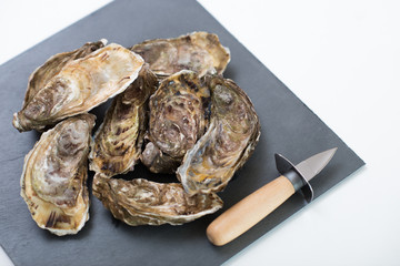 Fresh oysters. Raw fresh oysters on white round plate, image isolated, with soft focus. Restaurant...