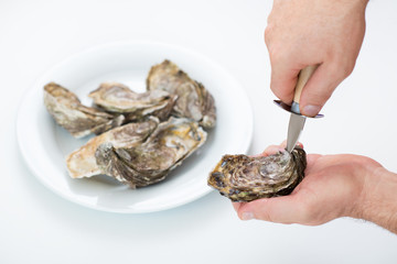 Fresh oyster. Man open fresh oyster. Raw fresh oyster is on white round plate, image isolated, with...