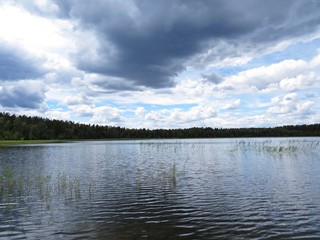 View at Beautiful Lake Panorama with Reeds and Clouds