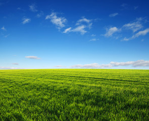 green field and clouds