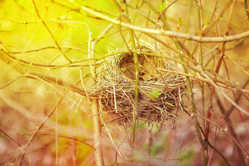 Empty bird nest made by straw on the twigs