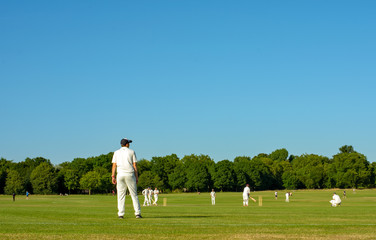 Cricket in the park