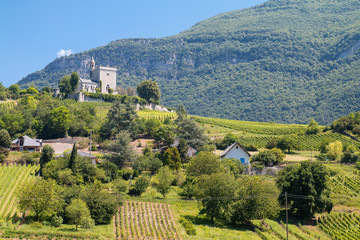 Fototapeta na wymiar Vignobles de Savoie à Chignin