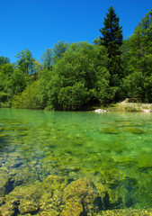 river with clear water