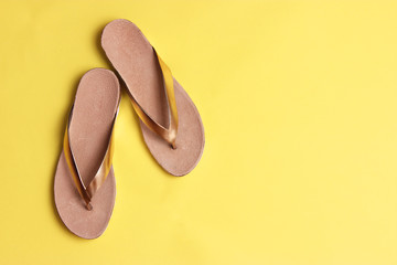 female slippers on a colored background top view. minimalism, women's shoes.