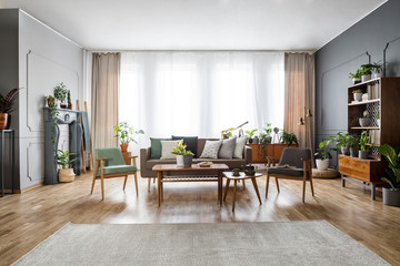 Real photo of a spacious, vintage living room interior with a sofa between two chairs and behind a table that stand next to a cupboard, with a wide window, rug and a lot of plants - obrazy, fototapety, plakaty