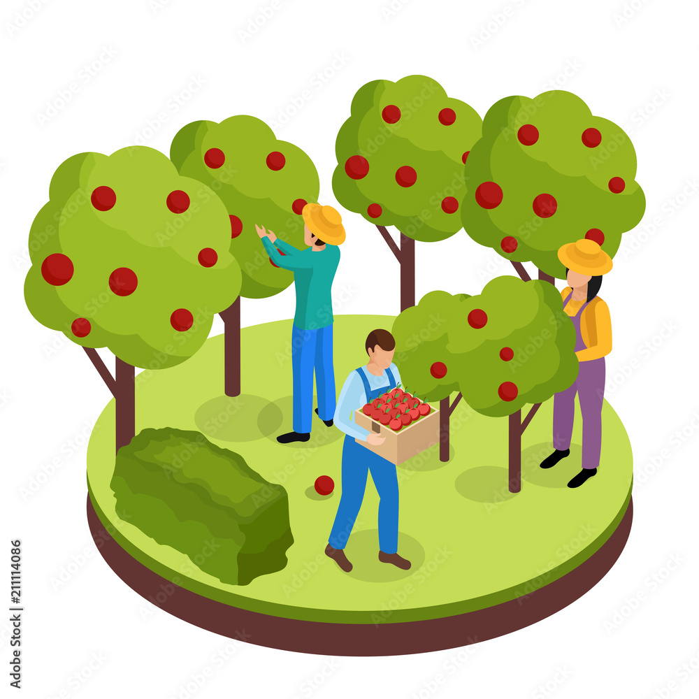 Sticker Fruit Harvesting Isometric Composition