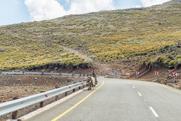 Basotho man and his donkey on Black Mountain Pass