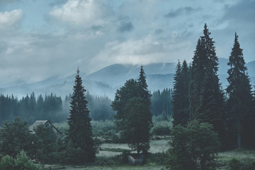 Carpathian forest and mountain landscape with small houses
