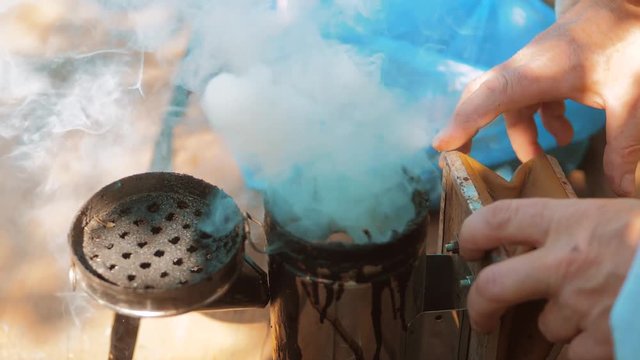 bee-maker of a smoke pipe beeper smoker device for repelling evil bees. slow motion video lifestyle apiary. beekeeping concept bee agriculture