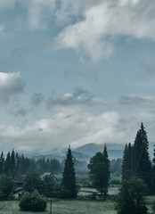 Carpathian forest and mountain landscape with small houses