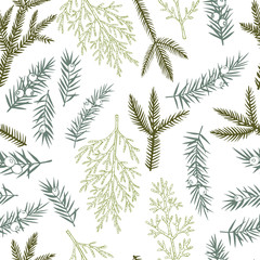Naklejka na ściany i meble Vector seamless pattern with hand drawn Christmas plants.