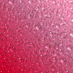water drops on pink background