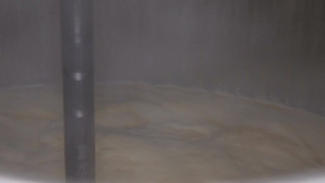 Preparation of beer. In the cistern beer is brewed