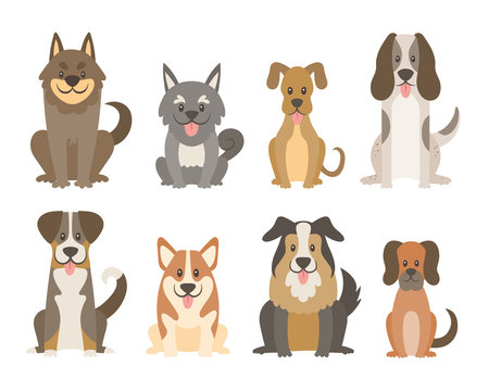 Collection of different kinds of dogs isolated on white background. Cute dogs in cartoon style sitting in front view position. Vector illustration.