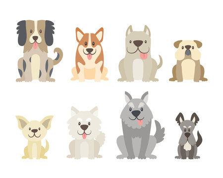 Collection of different kinds of dogs isolated on white background. Cute dogs in cartoon style sitting in front view position. Vector illustration.
