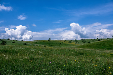 Pester landscape